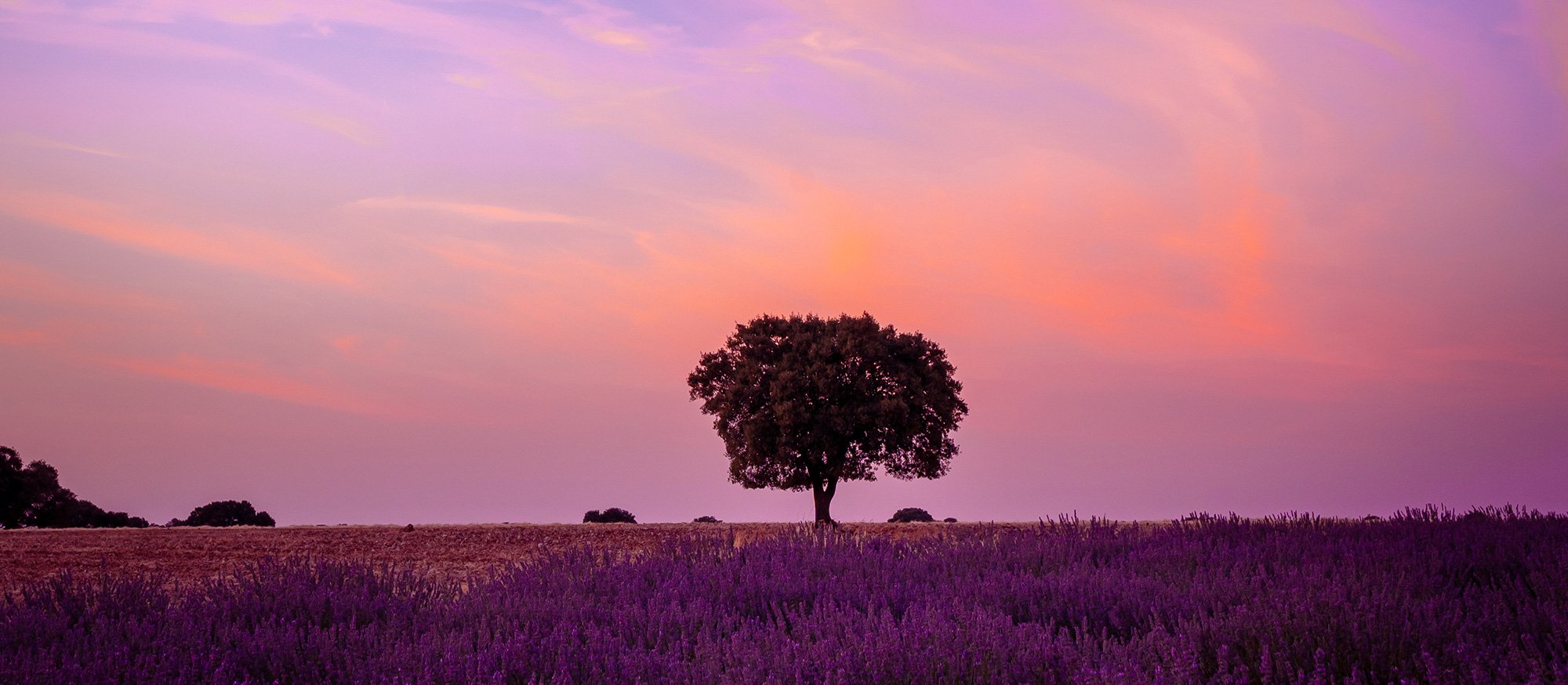 Therapy for Overthinking and Rumination